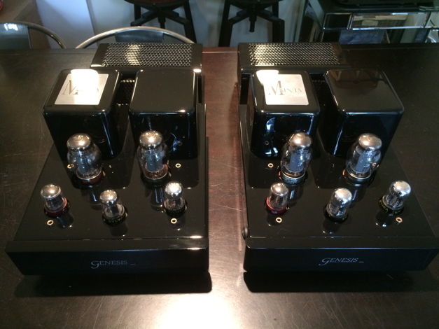 Genesis m60 monos with NOS tubes, upgraded fuses, and tube cages