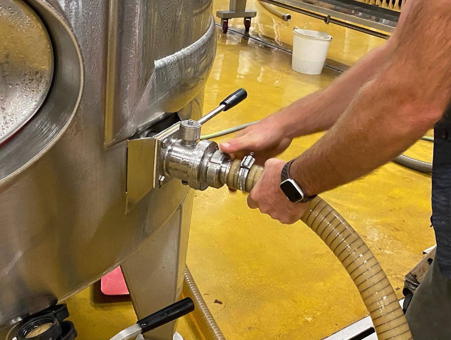 Cave du Domaine Luc Tabordet à Reuilly : élevage court sur lies fines en cuves inox pour les cuvées de Sauvignon Blanc. Cave du Domaine Luc Tabordet à Reuilly : élevage court sur lies fines en cuves inox pour les cuvées de Sauvignon Blanc.
