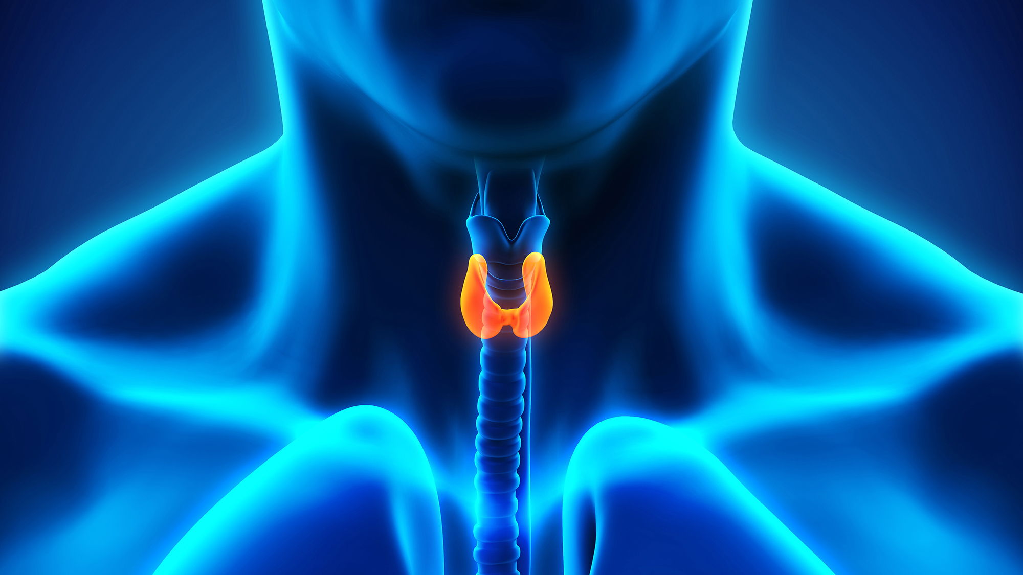 Find Your Ideal Thyroid Medication in 4 Simple Steps -