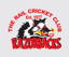 The Rail Cricket Club logo