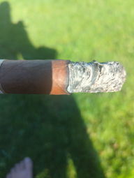 Cigar Session Photo