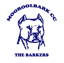 Mooroolbark Cricket Club logo