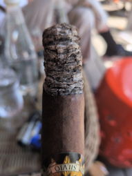 Nice ash