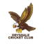 Drysdale Cricket Club logo