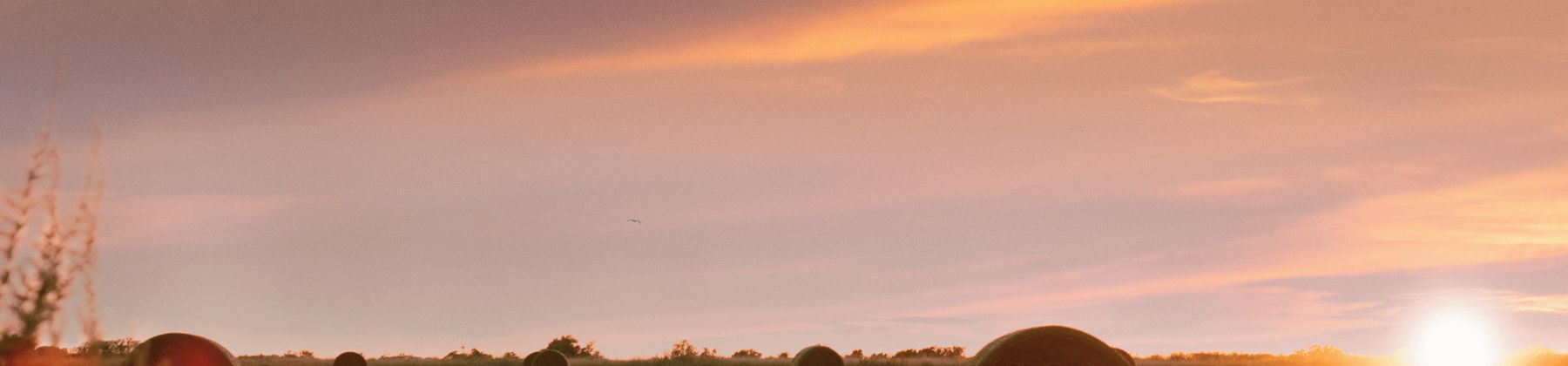 Oklahoma skyline