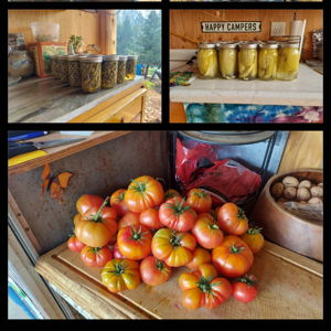 Wedding food fund