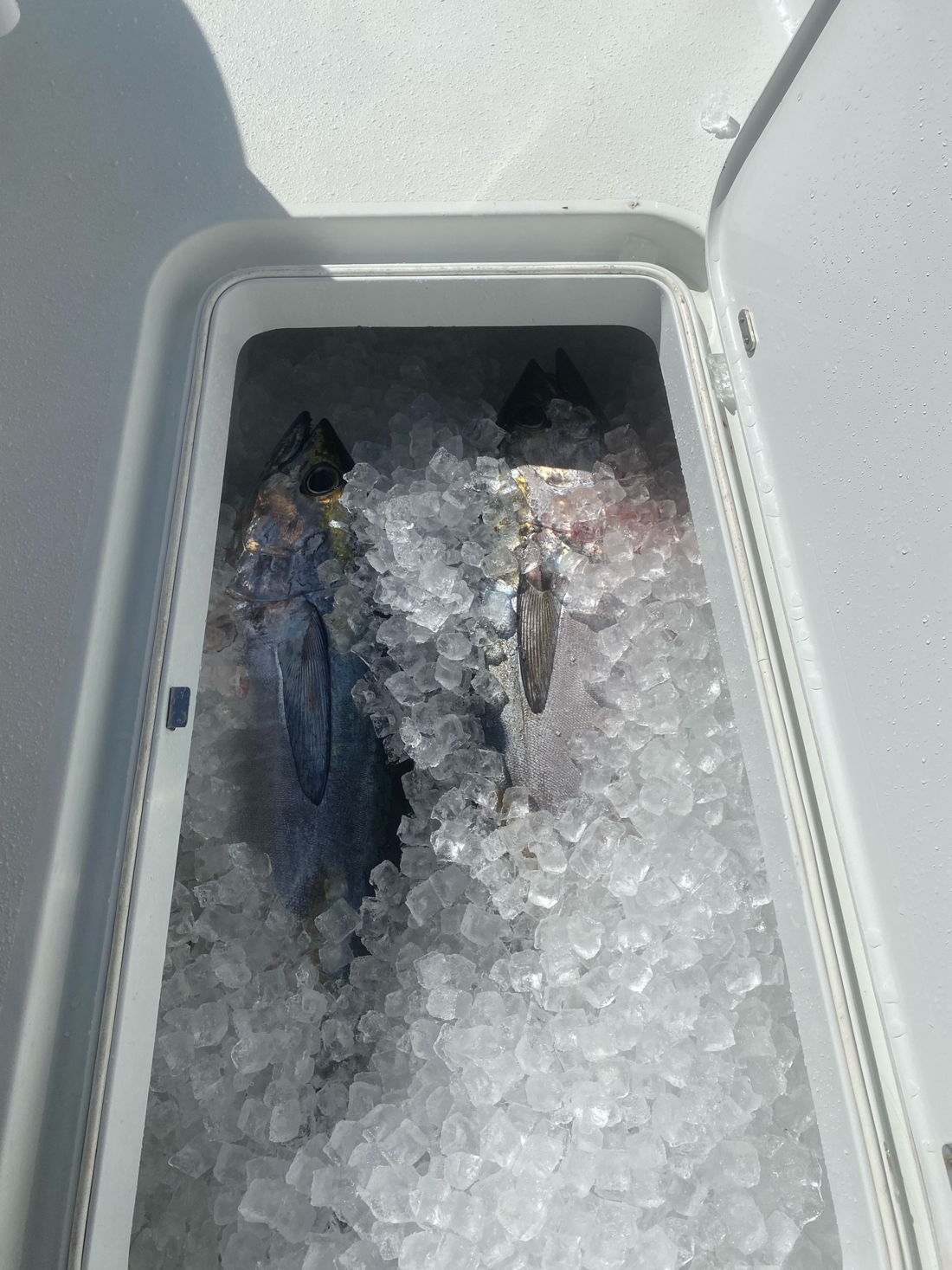 Inshore Fishing Trips — Boat Charter Destin