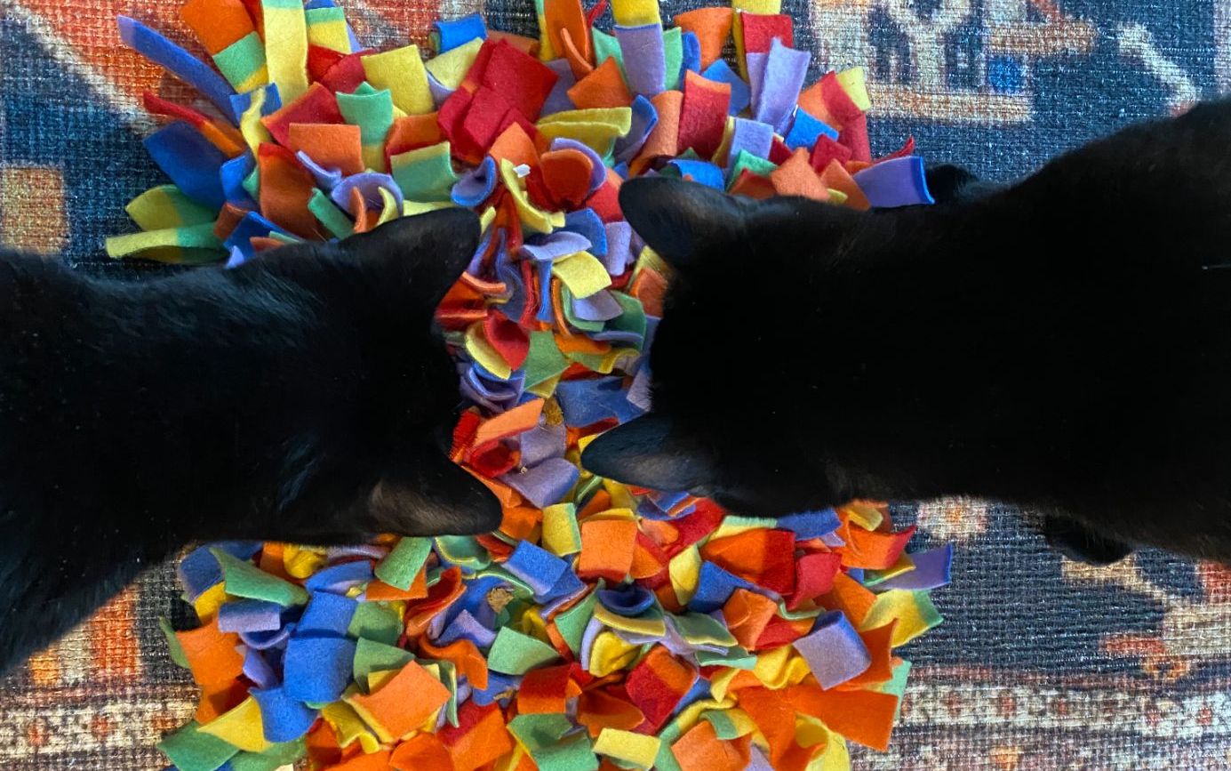 Two black cats using a snuffle mat