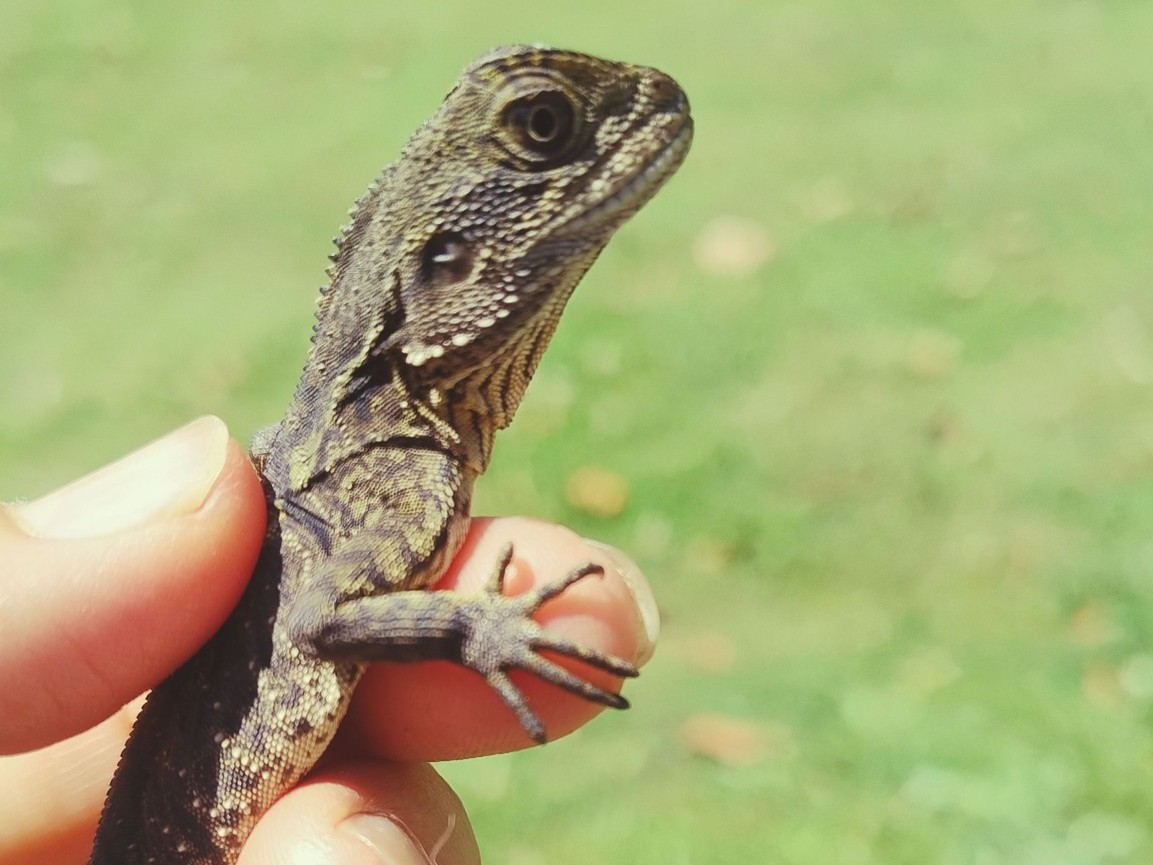 Ellia's Garden Voucher - Image 8