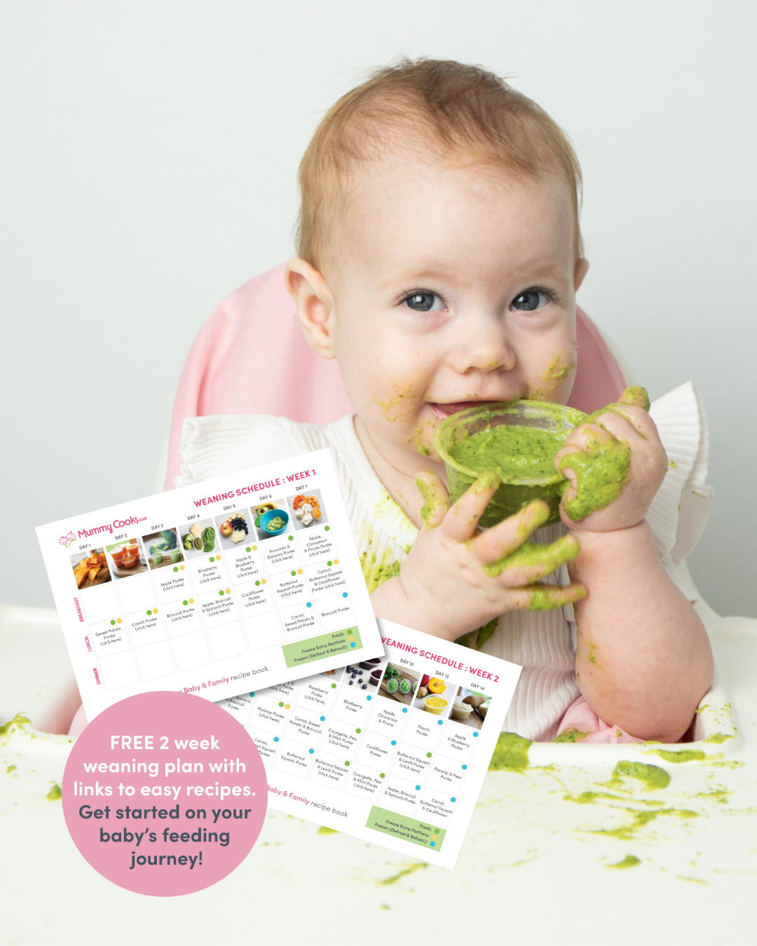 Free 2 Week Weaning Plan for Introducing Food and Feeding Baby 