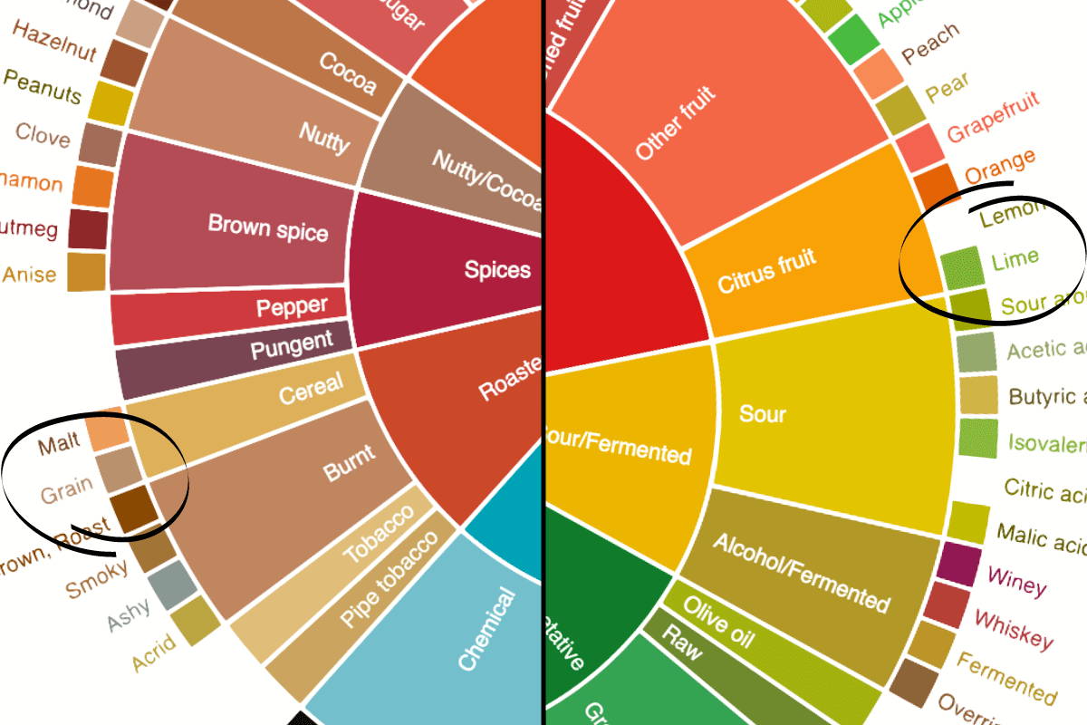 Contrasting coffee flavors