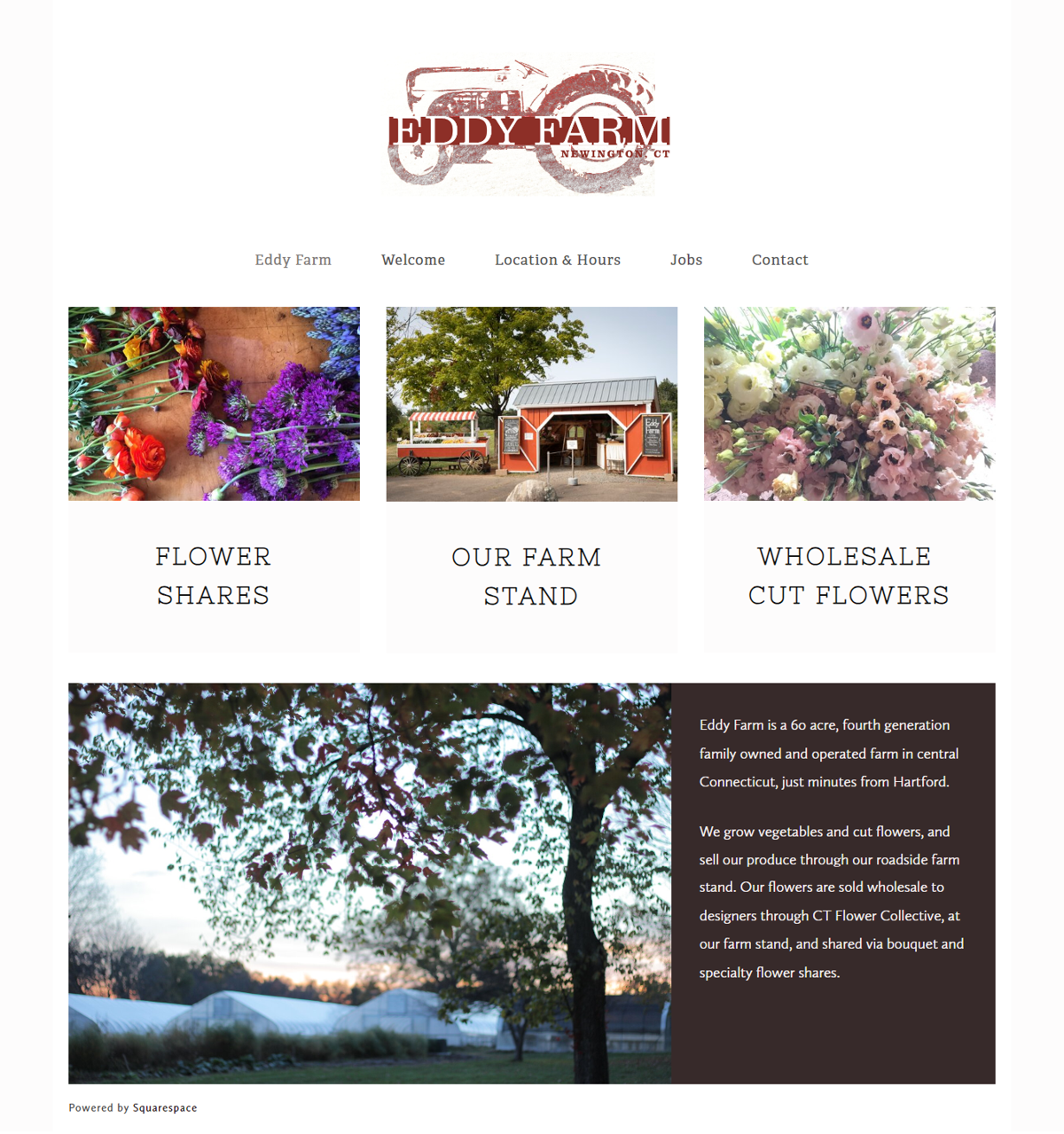 Screenshot of Eddy Farm, from the farm websites collection.