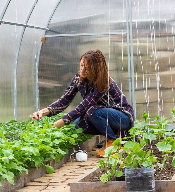 natural fiber agriculture applications