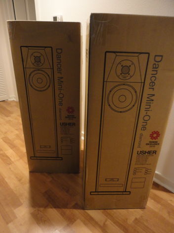 Usher Audio Mini One DMD Floor standing speakers