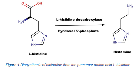 Low histamine food list