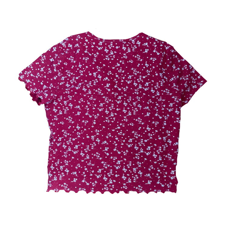 Hollister red flower baby-Tee