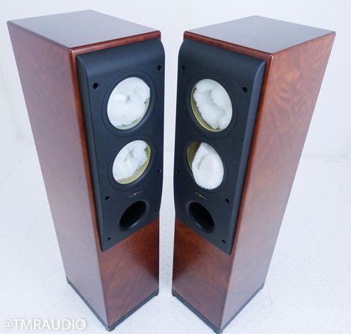 KEF Reference Model Three-Two Cabinets; Rosetta Burr Pa...