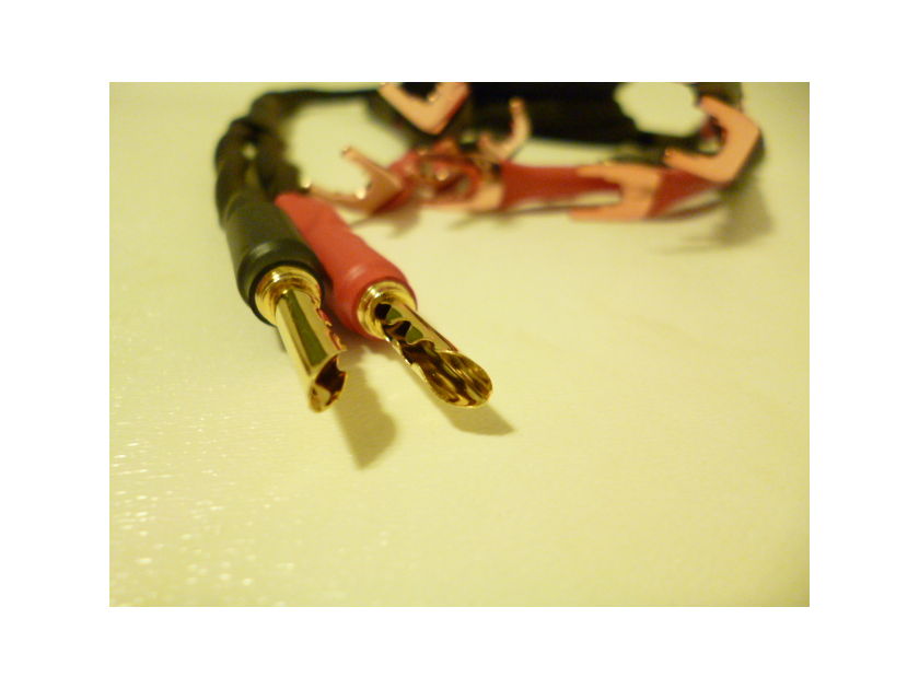 Schmitt Custom Audio Reference 100 "X" Bi-Wire Speaker Cables 10ft 1pr