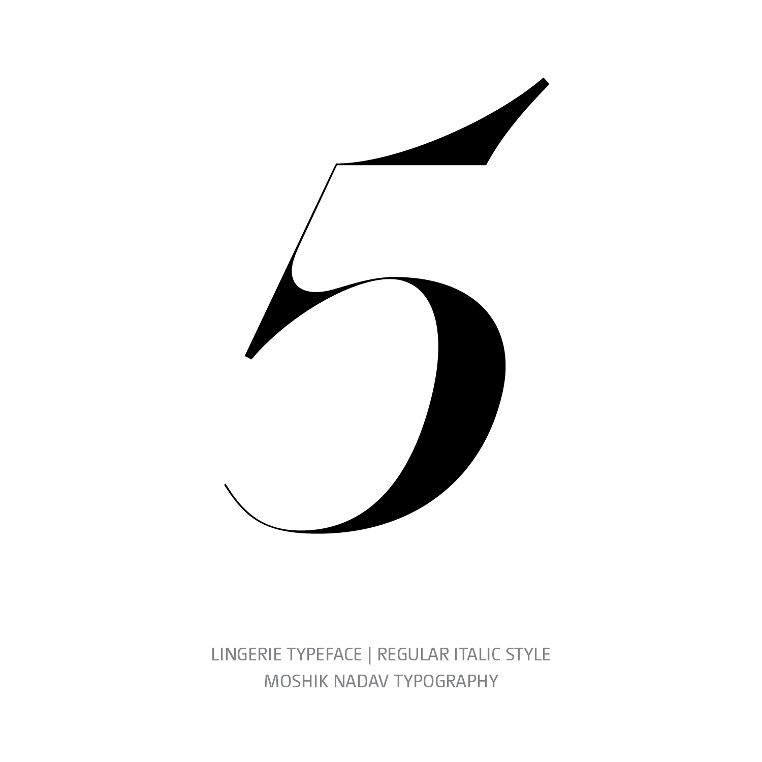 Lingerie Typeface Regular Italic 5 - Fashion fonts by Moshik Nadav Typography
