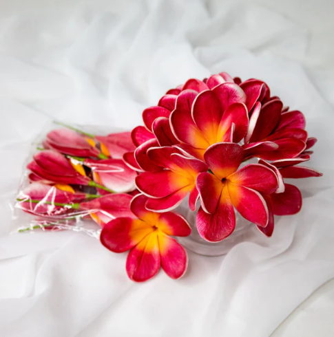 Passion Frangipani Flowerhead ( 6 Pack ) - Realistic Artificial Flowers