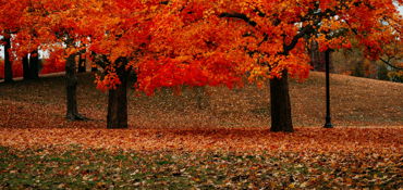 Boston - New England Tour near Woburn, MA