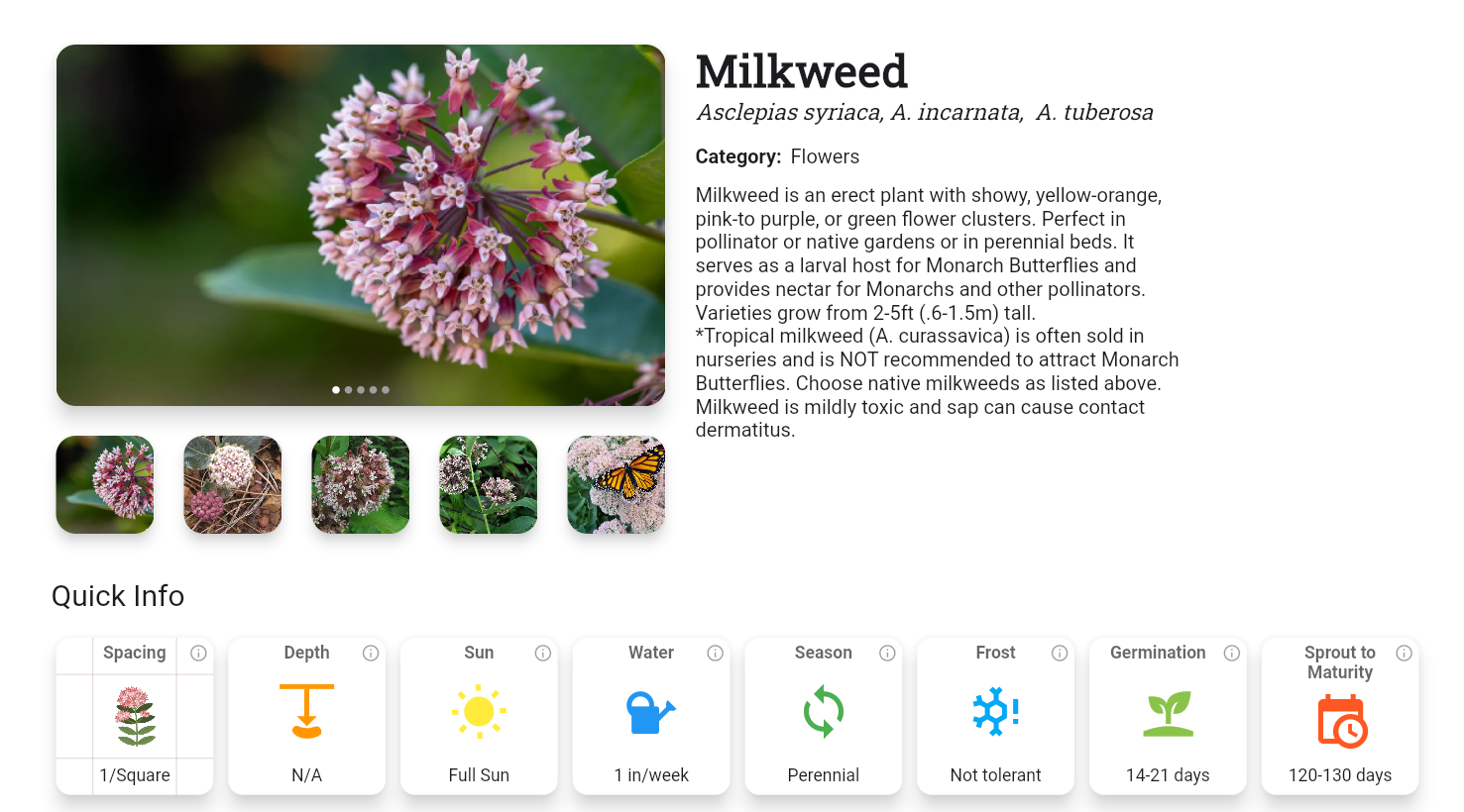 The Planter App has information on how to grow milkweed