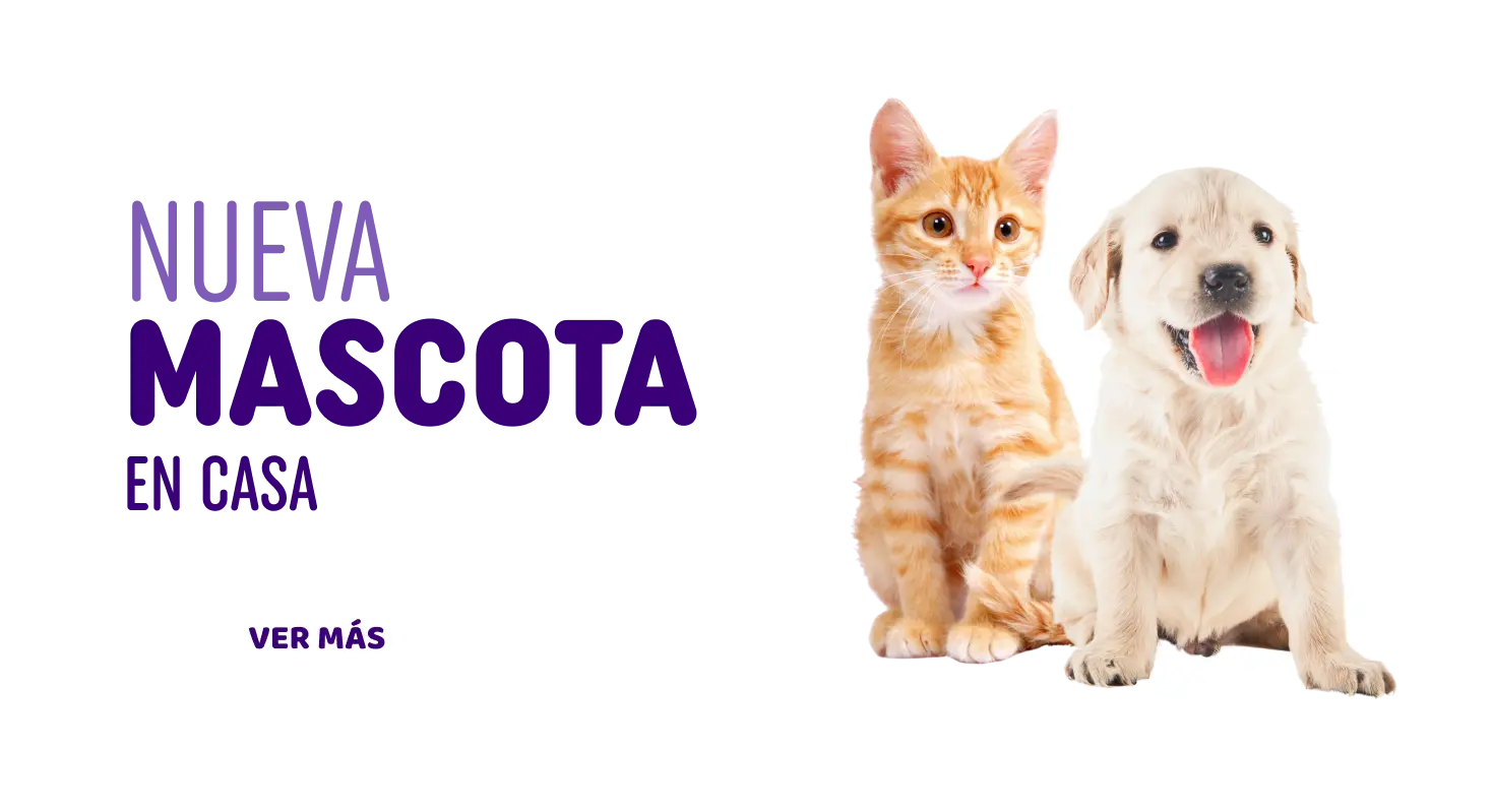 Nueva mascota en casa