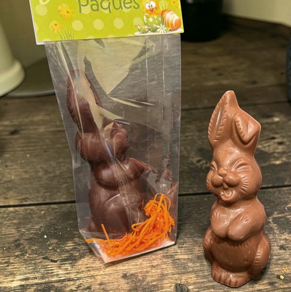 lapin-rieur-chocolat-au-lait