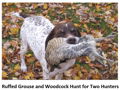 Two Day Ruffed Grouse Hunt for Two Hunters in Michigan