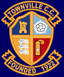 Townville Cricket Club logo