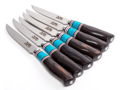 Six Piece Steak Knife Set With Turquoise and Wood Handles