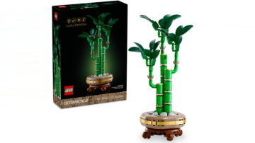 Main Content Image