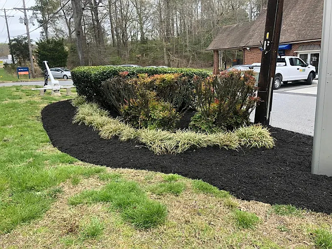 Fence Installation