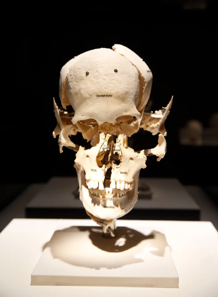 BODIESThe Exhibition Uploaded on 2021-12-14