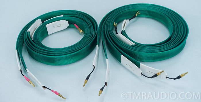 Audio Magic Trinium XL 8' Bi-wire Speaker Cables; Pair ...