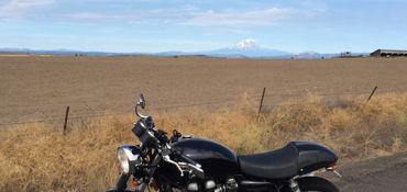 2013 TRIUMPH THRUXTON motorcycle for rent near Seattle, WA