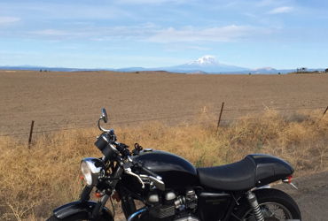 2013 TRIUMPH THRUXTON motorcycle for rent near Seattle, WA