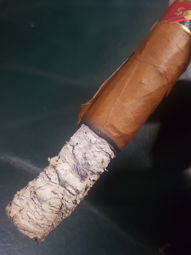 Cigar Session Photo