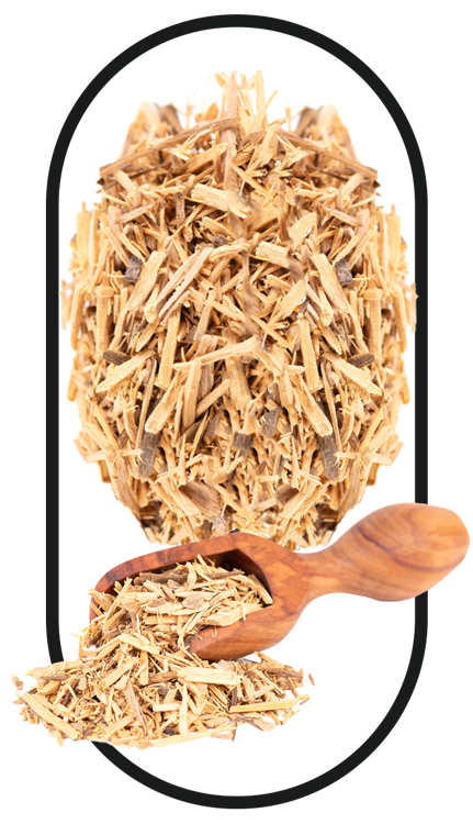 Dried Muira Puama, a key ingredient in the best tongkat ali singapore