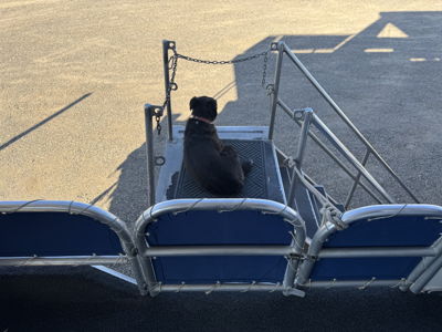 Boat Image 46