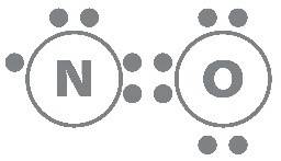N-O Molecule