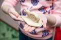 hands holding a small snail make from plasticine, accomplishment
