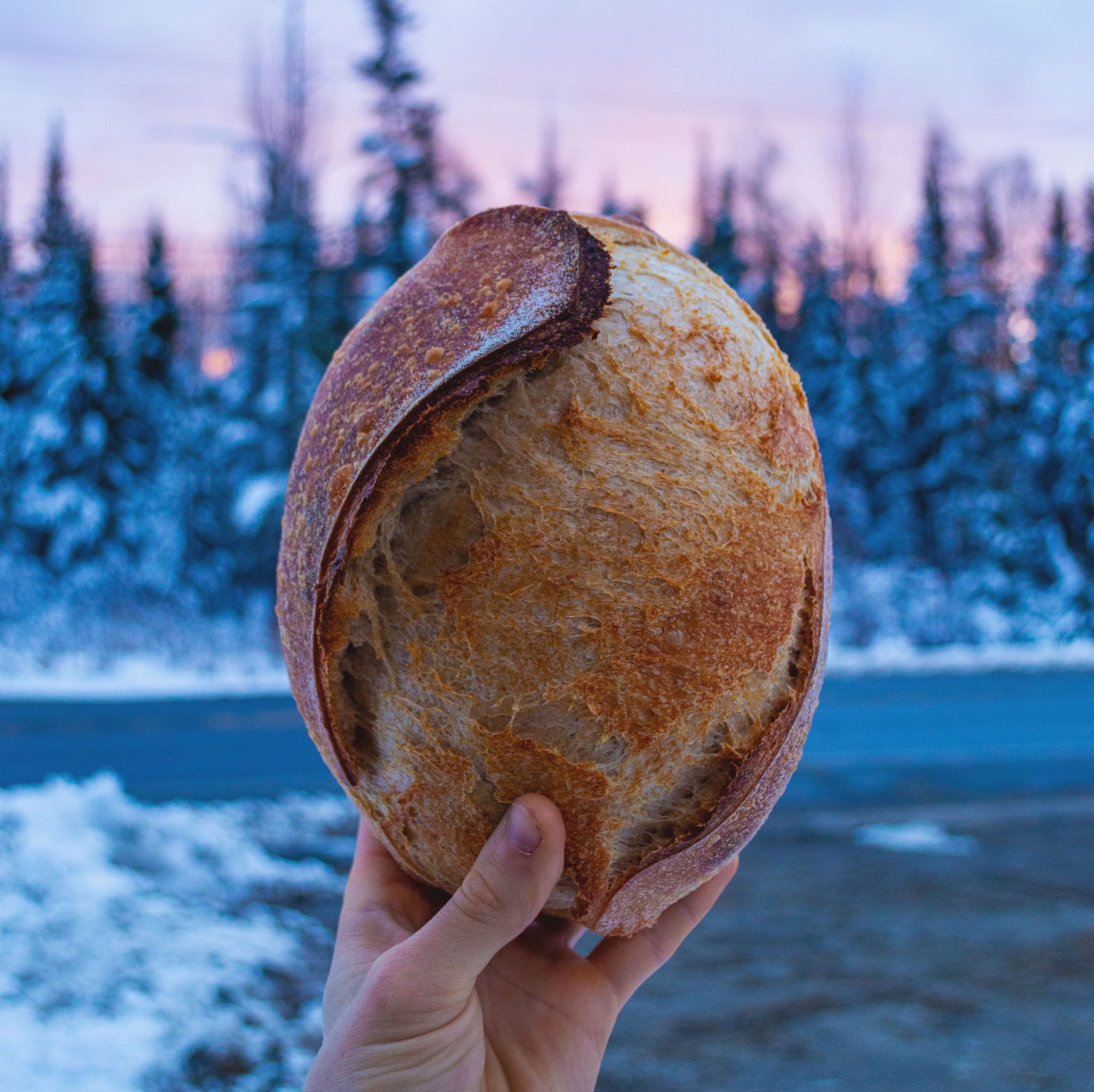 Artisan Sourdough | Bauhaus Bakery — photo from hotplate.com