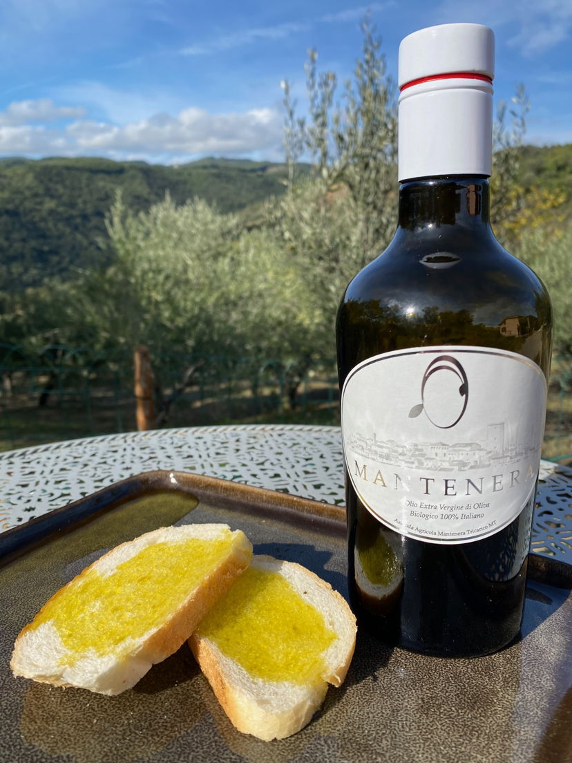 Home restaurants Tricarico: Lunch in a centuries-old olive grove | Slow Food Presidium