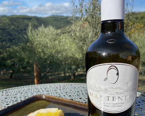 Esperienze gastronomiche Tricarico: Pranzo in un uliveto secolare | Presidio Slow Food 
