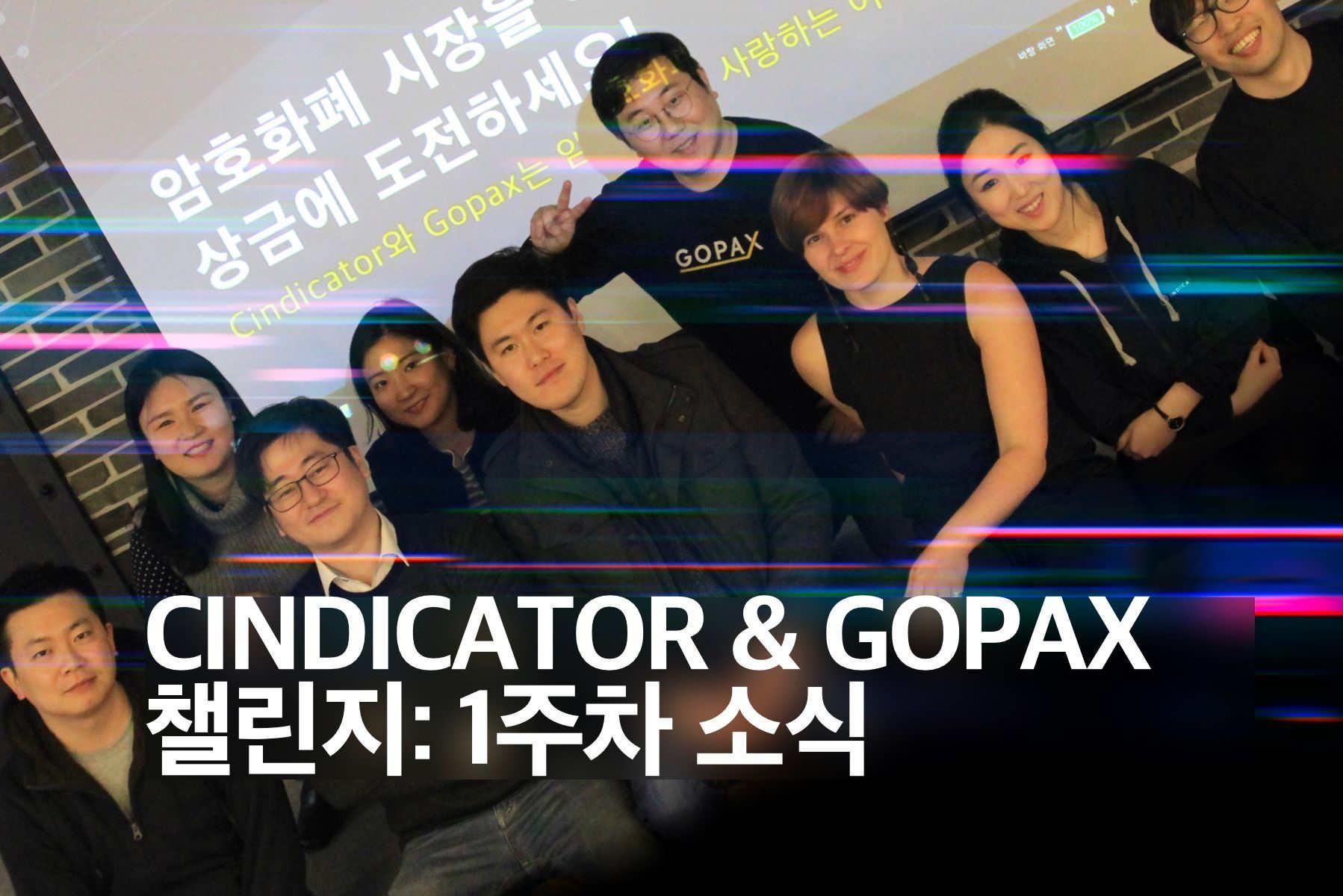 Cindicator X Gopax 챌린지: 1주차 소식