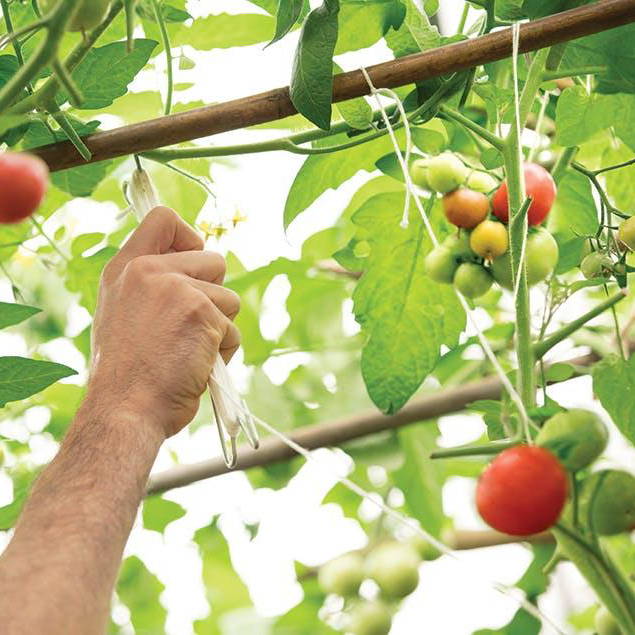 Agriculture & Farm Application