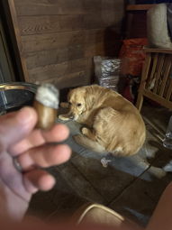 Cigar Session Photo