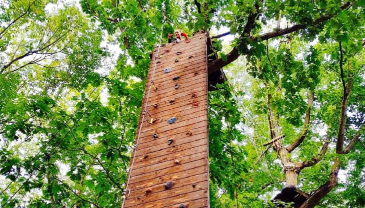 treetree die kletterwand