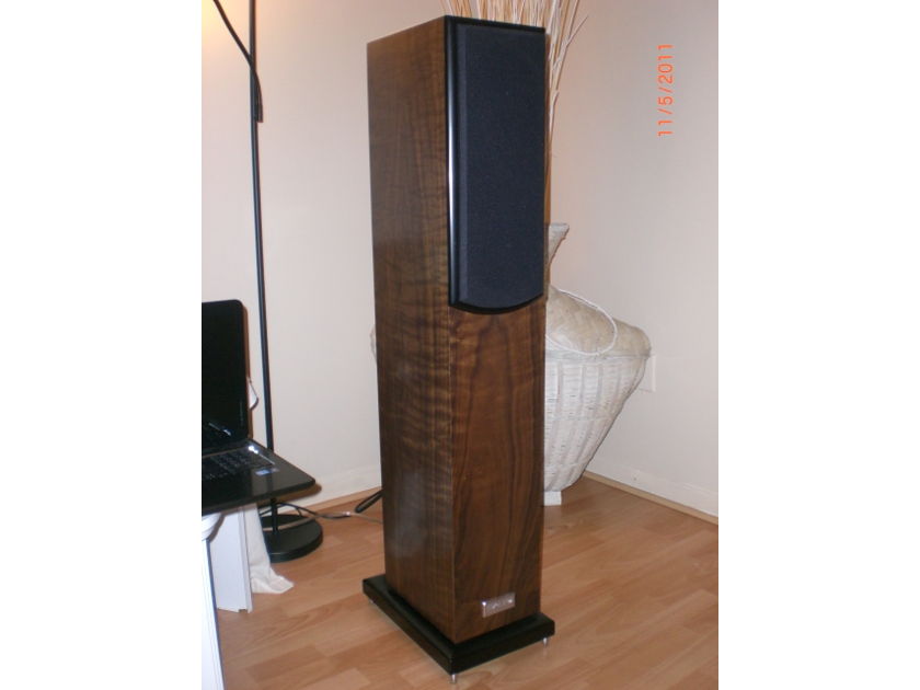 Salk SongTower with SongCenter QWT Curly Walnut